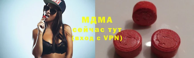 индика Богданович