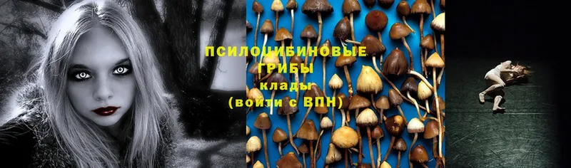 ссылка на мегу ТОР  Сарапул  Псилоцибиновые грибы Magic Shrooms 